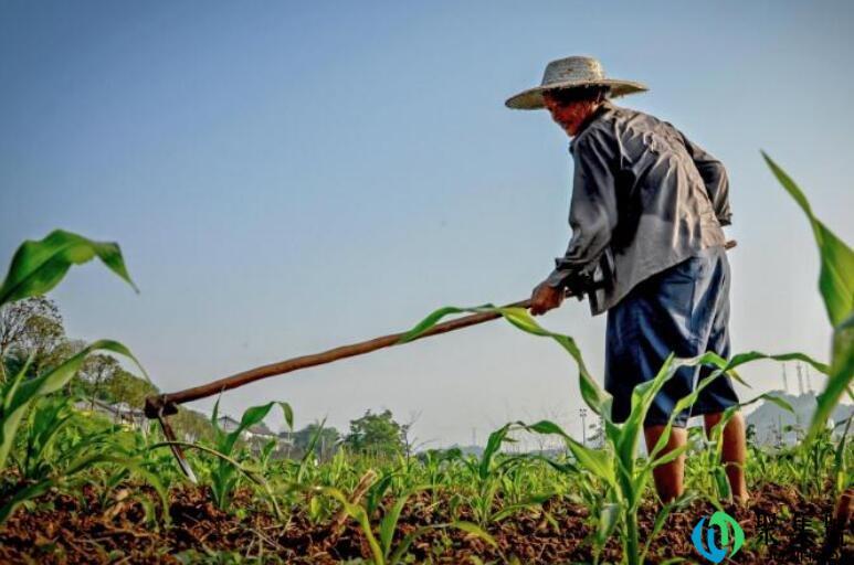 锄禾日当午全诗