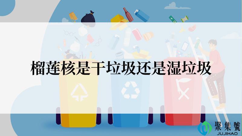 榴莲核是干垃圾还是湿垃圾