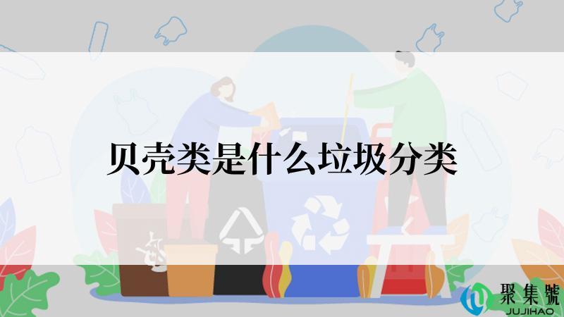 贝壳类是什么垃圾分类