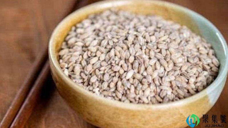 大麦仁和小麦仁的区别