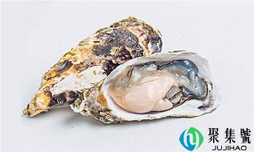 海蛎和生蚝的区别在哪里