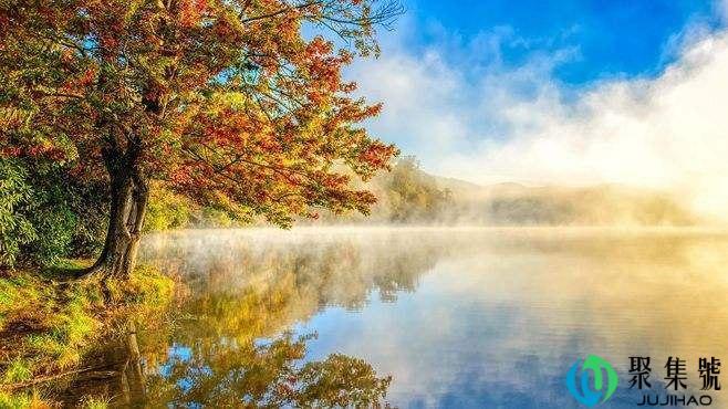 出乎意料的反义词