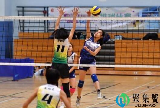 排球颠球怎么颠