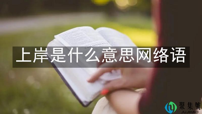 上岸是什么意思网络语