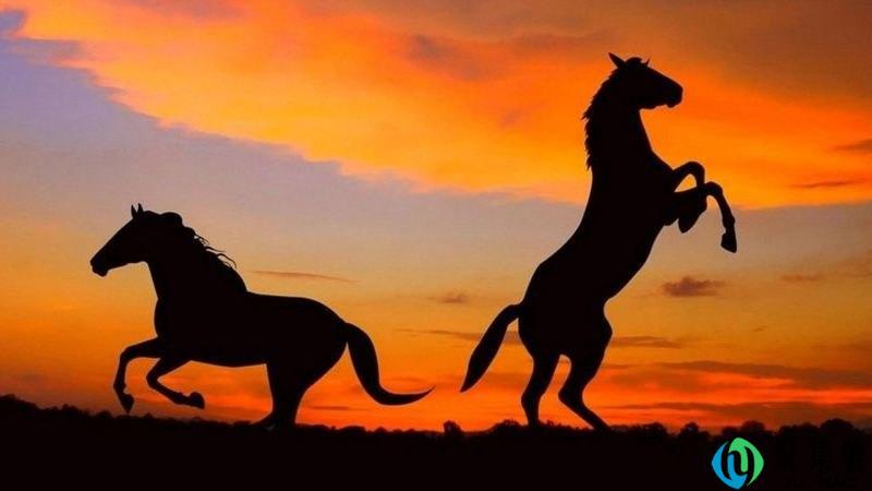 单枪匹马的近义词