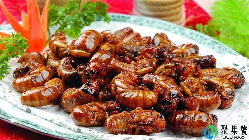 蝉小时候叫什么名字