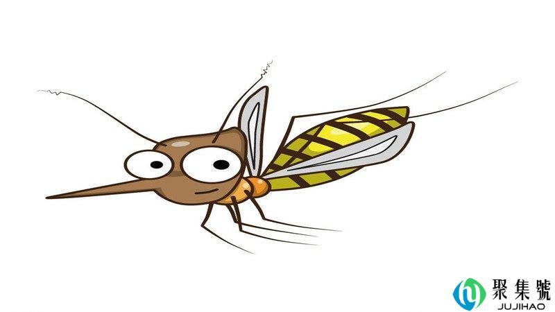 a型血蚊子爱咬吗