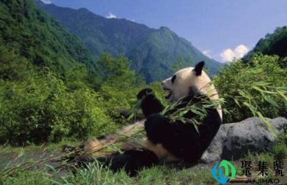 四川在板块交界处吗