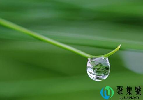 晨露是什么意思