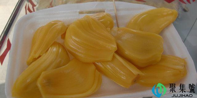 菠萝蜜和菠萝的关系