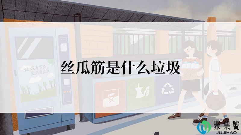 丝瓜筋是什么垃圾