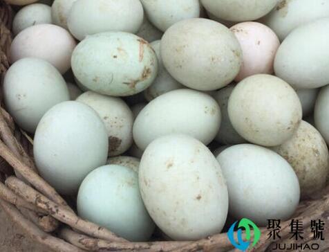 假鸭蛋和真鸭蛋的区别