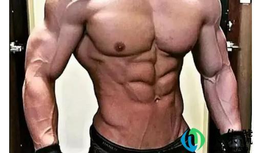 腹肌块数由什么决定