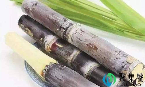 一斤甘蔗能榨多少汁