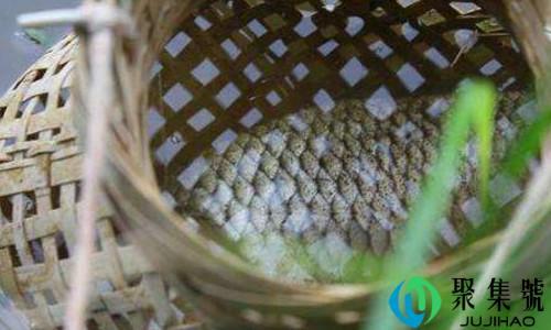 陶冶情操是什么意思