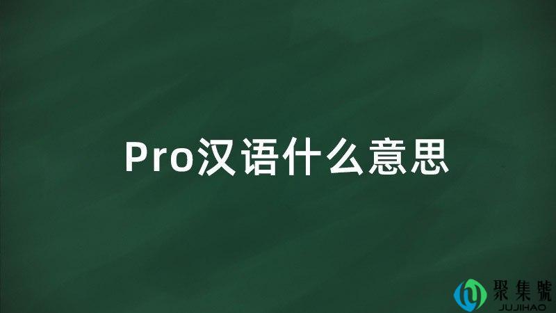 pro汉语什么意思