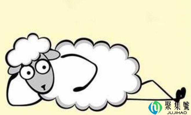 薅羊毛网络词什么意思