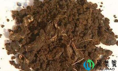 人工麝香和天然麝香的区别