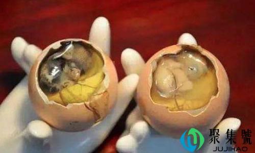 活珠子是什么东西