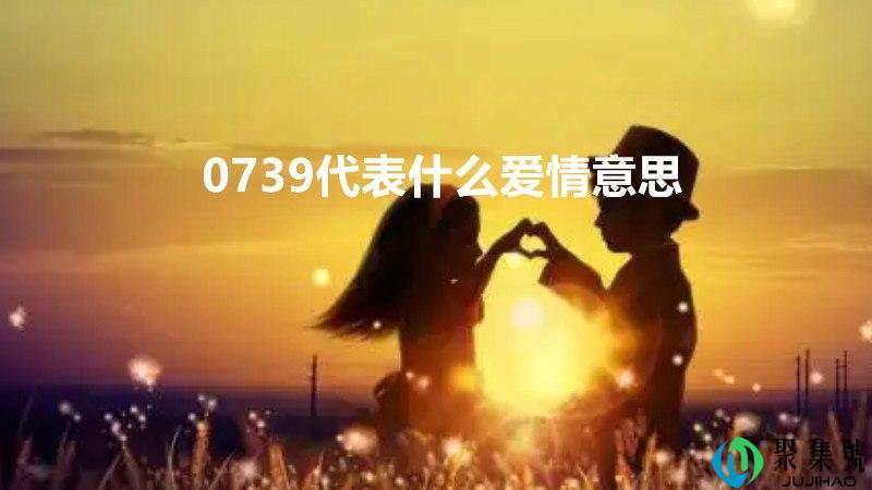 0739代表什么爱情意思
