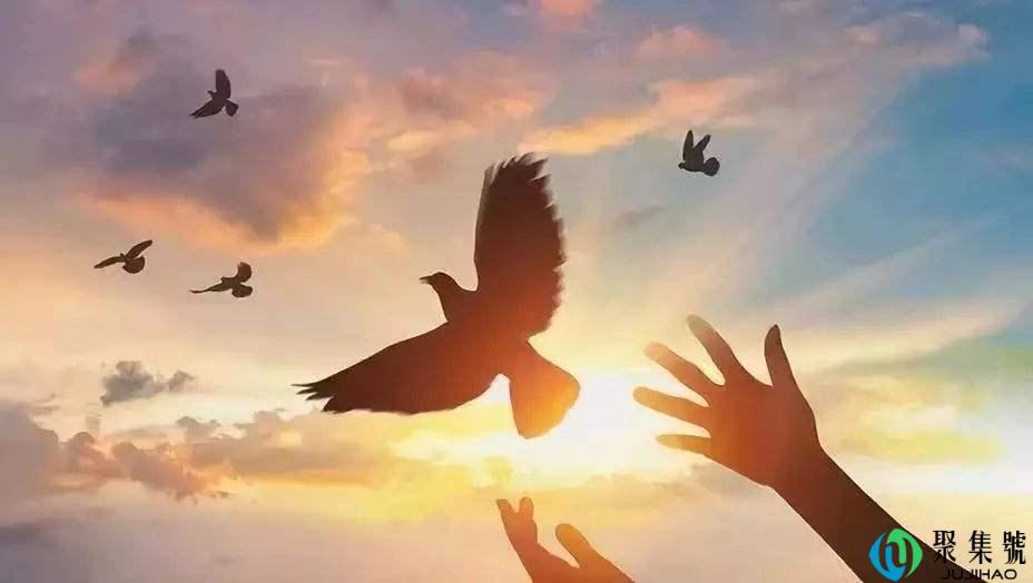 不分缘由是什么意思