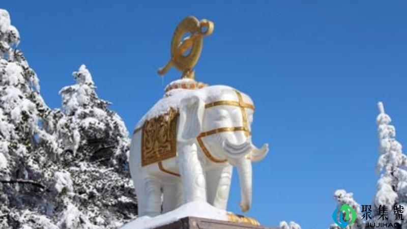 你可是白象哩什么意思