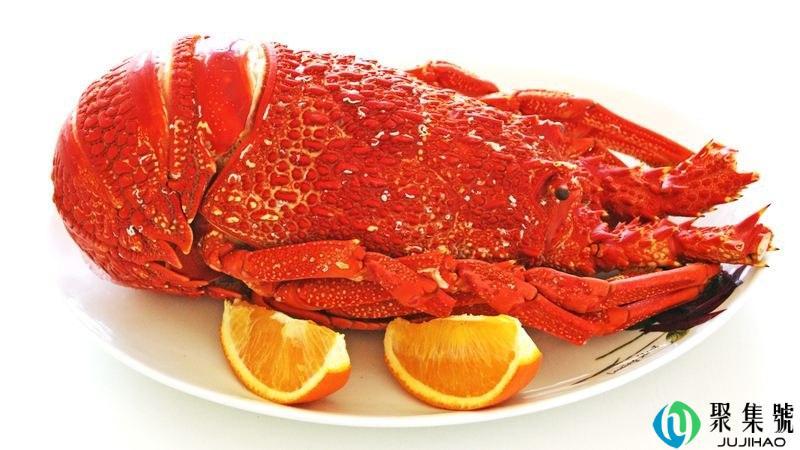 鲜活澳洲龙虾怎么保存