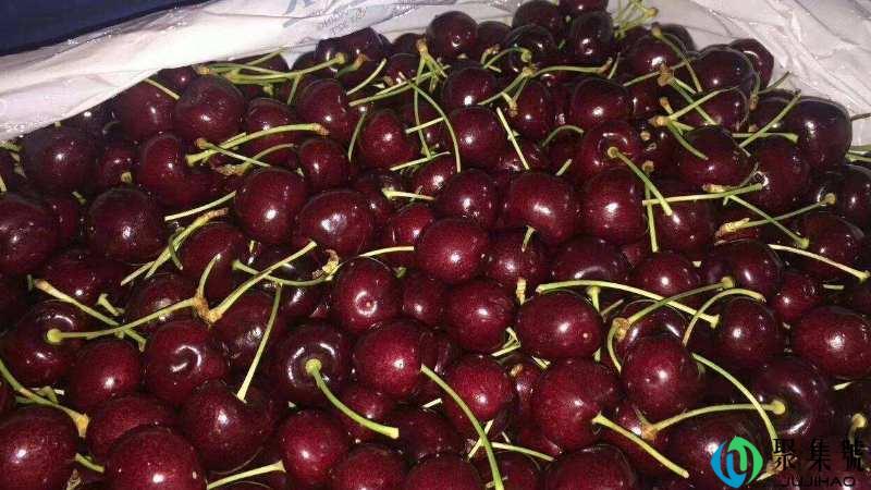 车厘子单j双j3j是什么意思