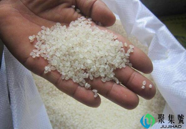 新大米和陈大米的区别