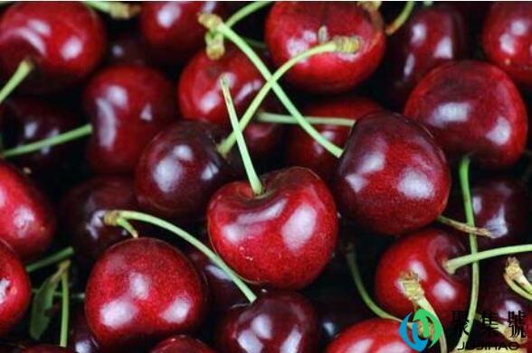 车厘子sdj级是什么意思