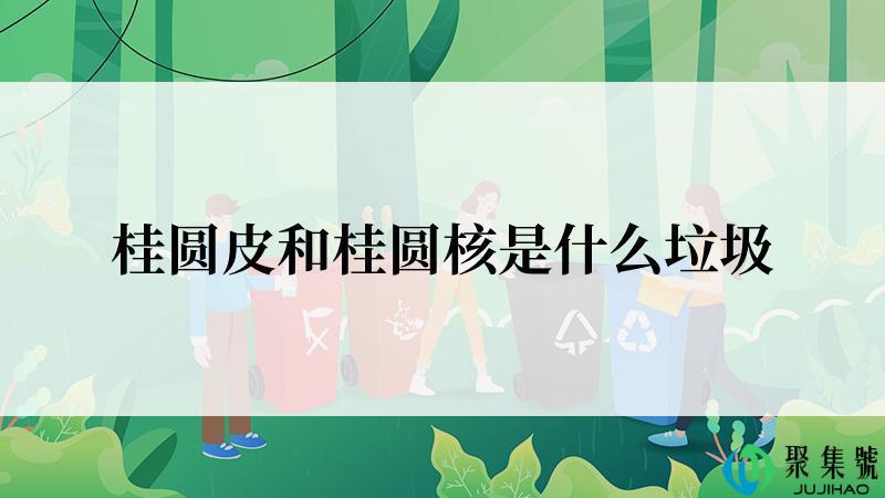 桂圆皮和桂圆核是什么垃圾