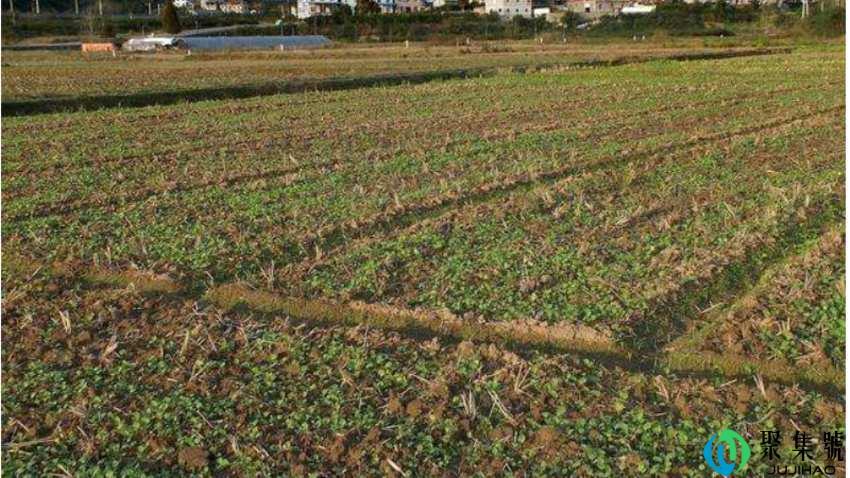 一公顷是多少亩