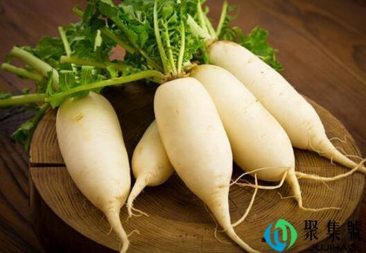 水萝卜和白萝卜的区别