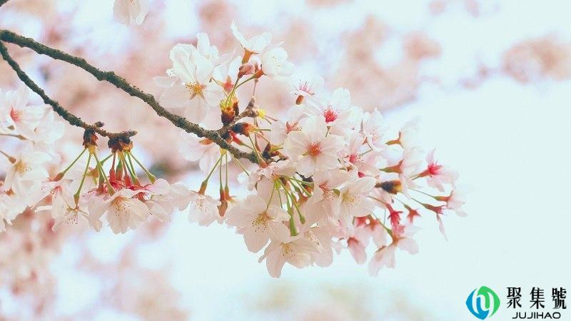 没在怕的是什么意思