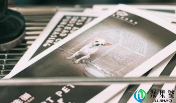 生活碎片是什么意思