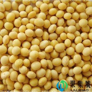 陈4一5年的黄豆能吃吗