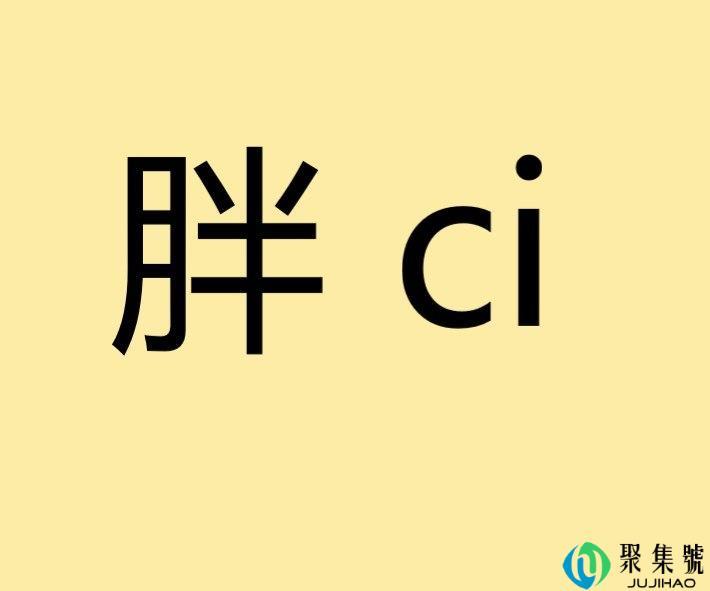 二次元语胖ci什么意思