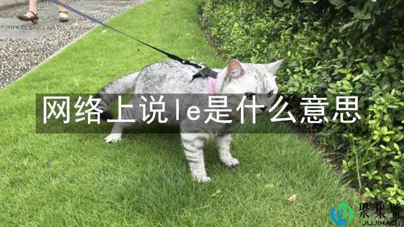 网络上说le是什么意思
