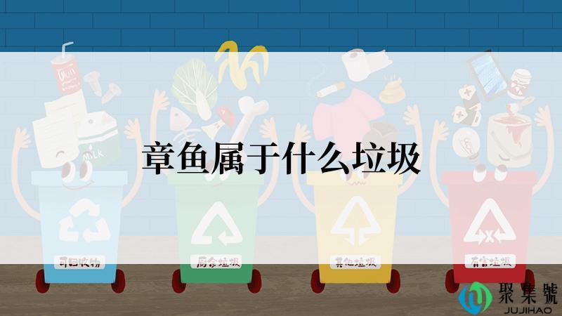 章鱼属于什么垃圾