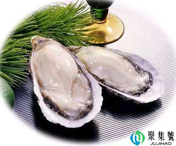 煅牡蛎与生牡蛎的区别