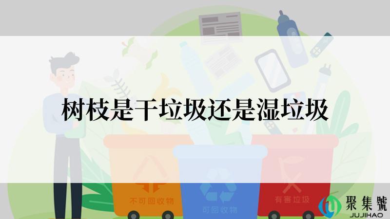 树枝是干垃圾还是湿垃圾