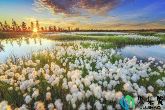 圈子干净是什么意思