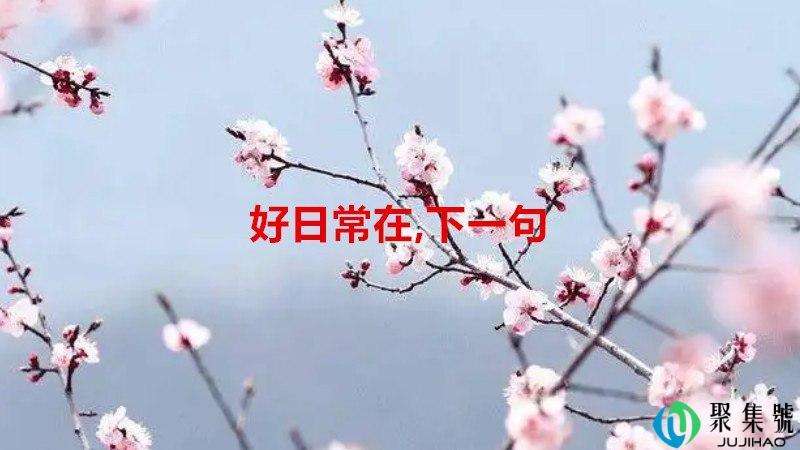 好日常在,下一句