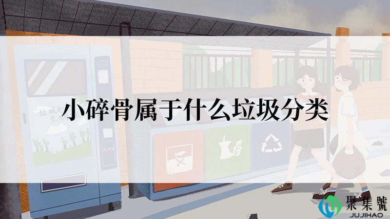 小碎骨属于什么垃圾分类