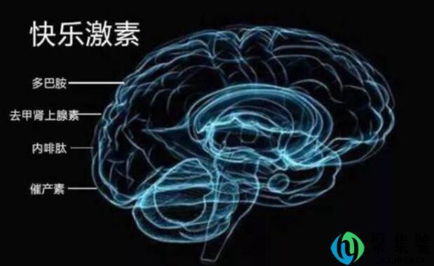 多巴胺怎么产生