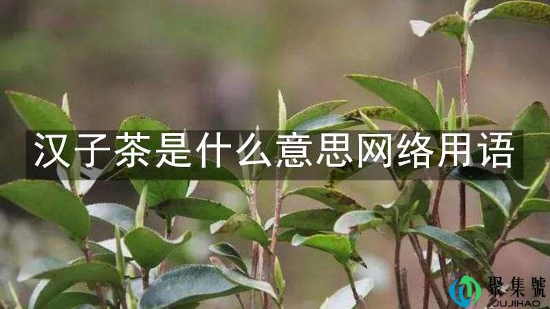 汉子茶是什么意思网络用语