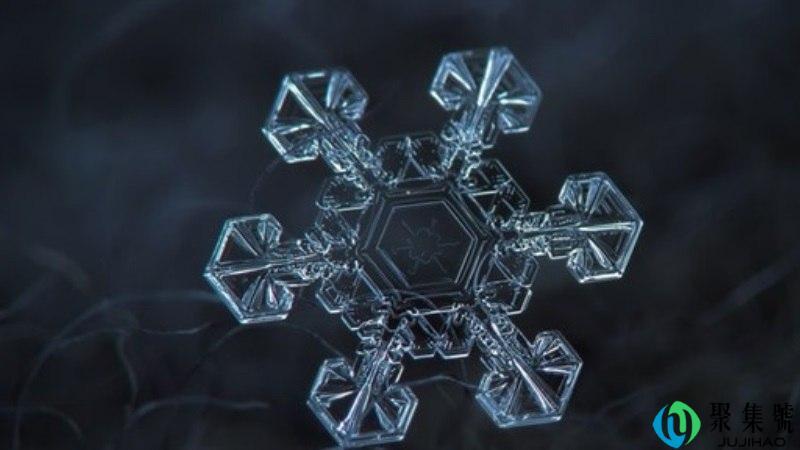 形态各异的近义词