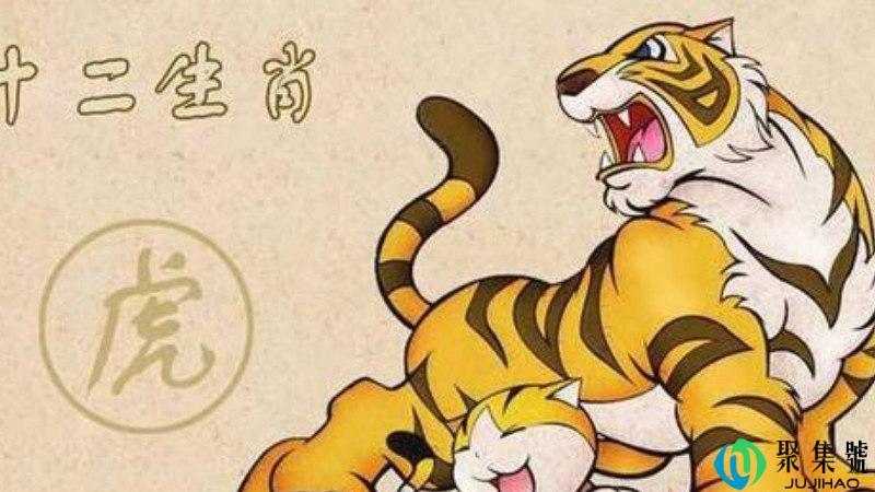 1986年属什么生肖