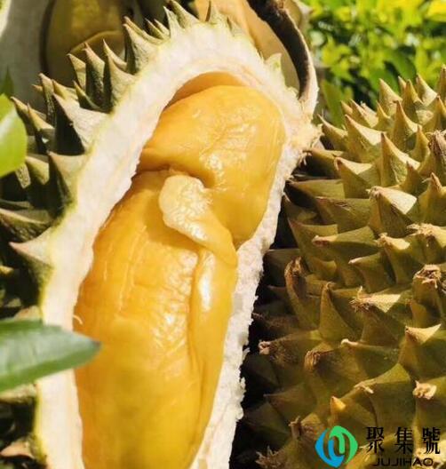 榴莲微波炉加热几分钟