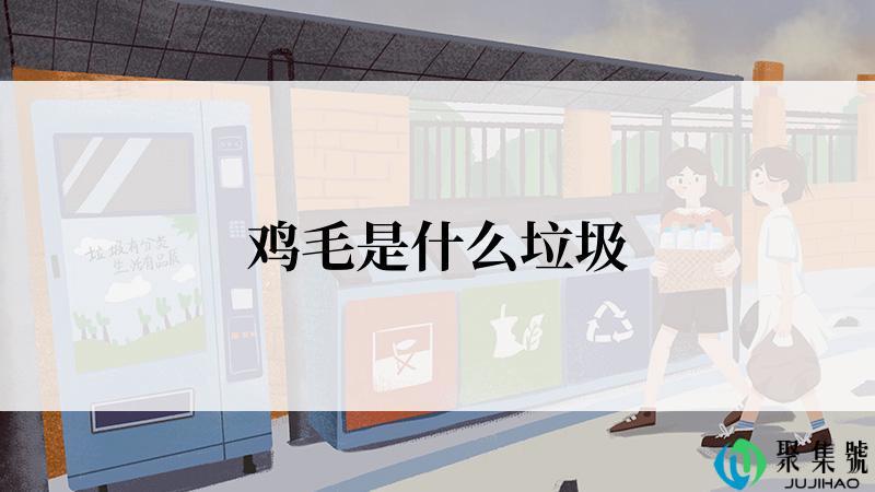 鸡毛是什么垃圾